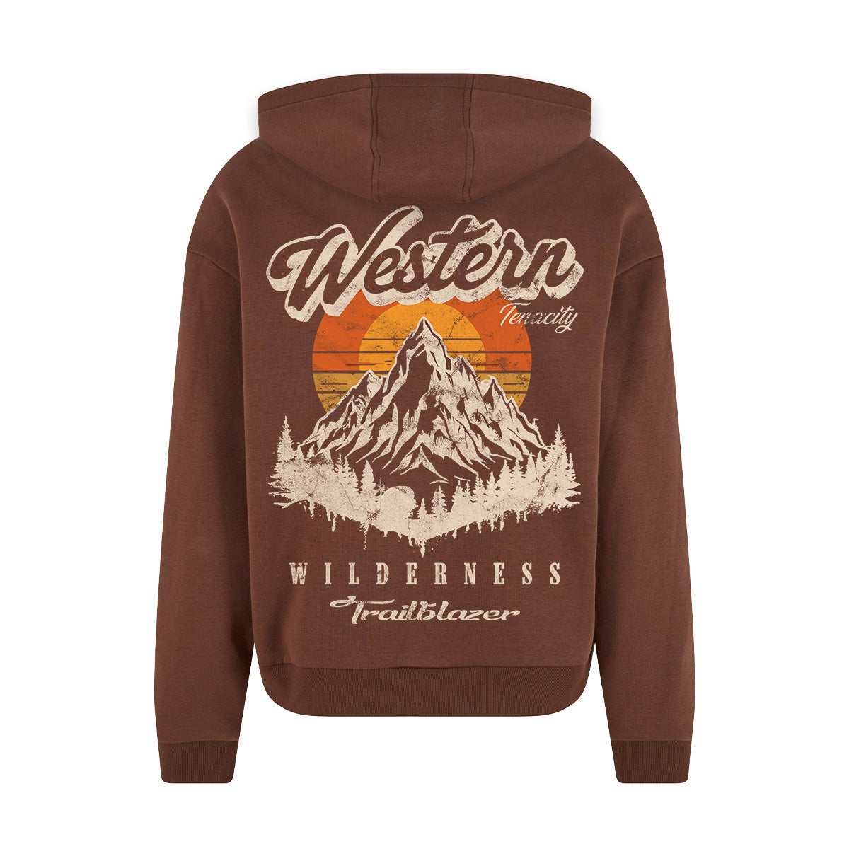 WESTERN WILDERNESS OVERSIZED VINTAGE HOODIE