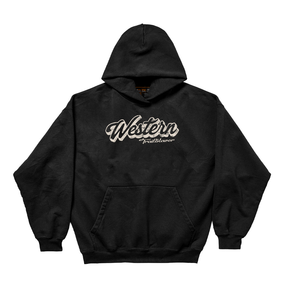 WESTERN WILDERNESS OVERSIZED VINTAGE HOODIE