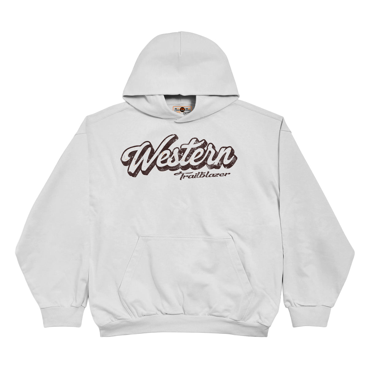 WESTERN WILDERNESS OVERSIZED VINTAGE HOODIE